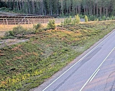 Tie 435 Sulkava, Pieksuu