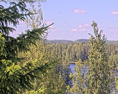 vt9_Pieksämäki_Mehtiö