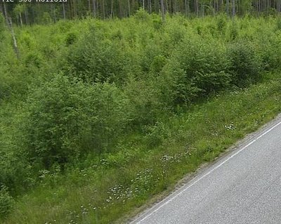 Tie 500 Joensuu, Hoilola