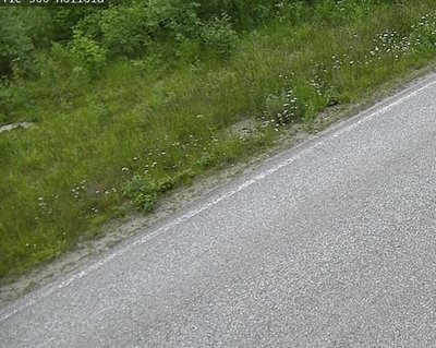 Tie 500 Joensuu, Hoilola