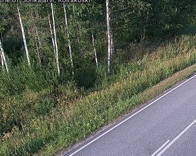 Tie 87 Sonkajärvi, Koirako