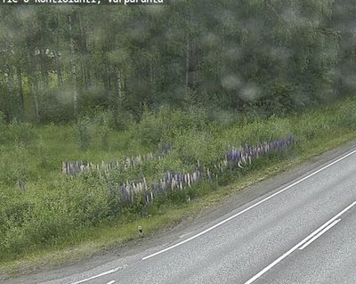 Tie 6 Kontiolahti, Varpara