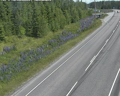 Tie 9 Hankasalmi, Nälkämäki