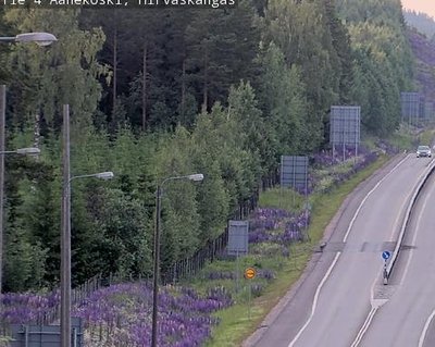 Tie 4 Äänekoski, Hirvaskangas