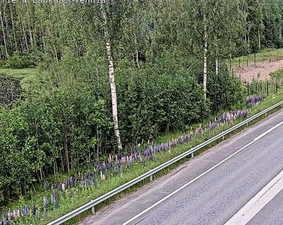 Tie 4 Laukaa, Vehniä