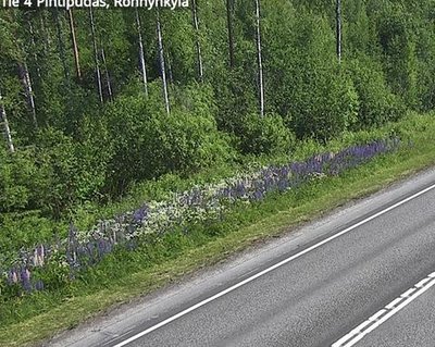 Tie 4 Pihtipudas, Rönnynkylä