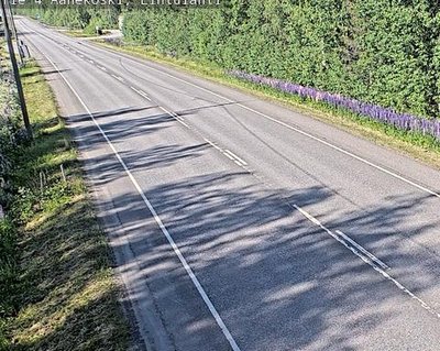 Tie 4 Äänekoski, Lintulahti