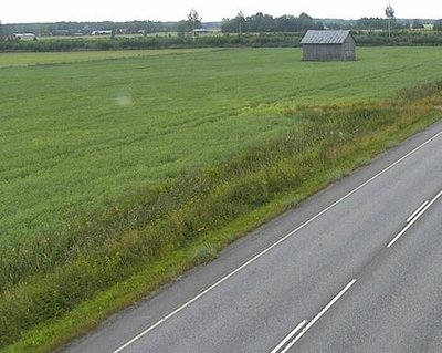 Tie 8 Mustasaari, Koivulahti