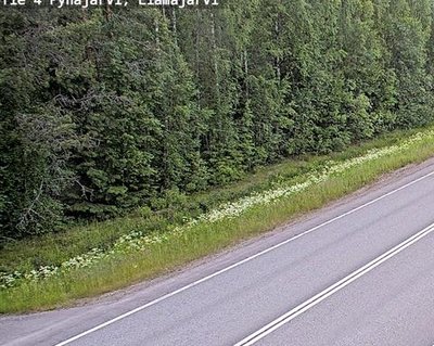 Tie 4 Pyhäjärvi, Elämäjärvi