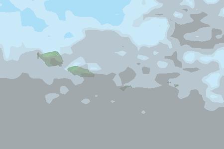 Cloudiness