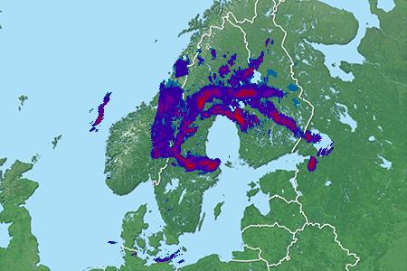 Radar