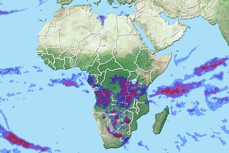 Precipitaciones