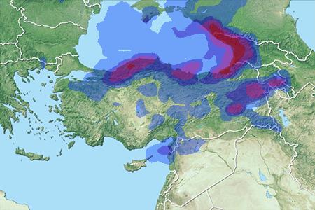 Precipitaciones