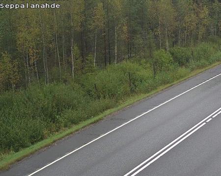 Tie 2 Kokemäki, Seppälänahde