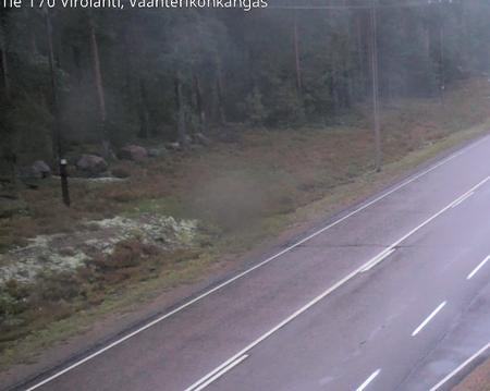 Tie 170 Virolahti, Vaahterikonkangas