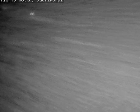 Tie 15 Kotka, Juurikorpi