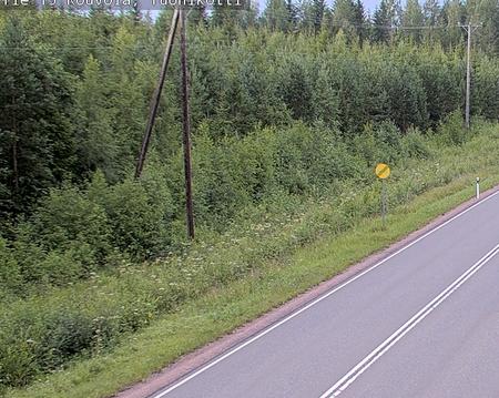 Tie 15 Kouvola, Tuohikotti