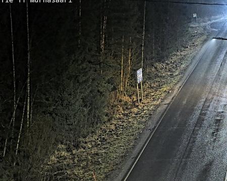 Tie 11 Nokia, Murhasaari