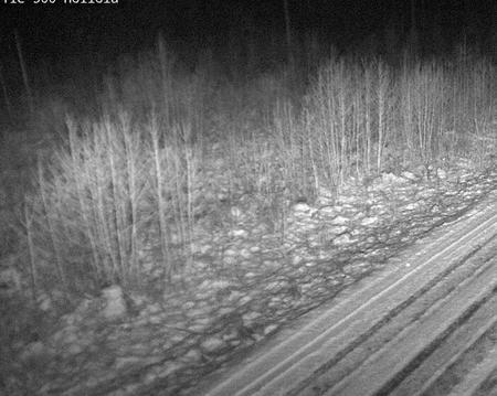 Tie 500 Joensuu, Hoilola