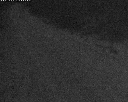 Tie 500 Joensuu, Hoilola