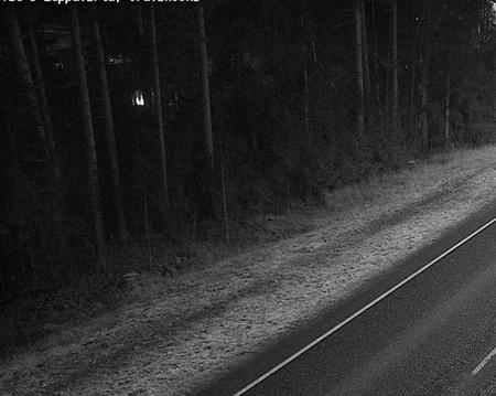 Tie 5 Leppävirta, Oravikoski