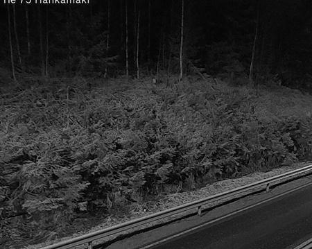 Tie 75 Rautavaara, Hankamäki