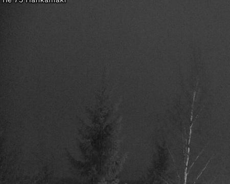 Tie 75 Rautavaara, Hankamäki