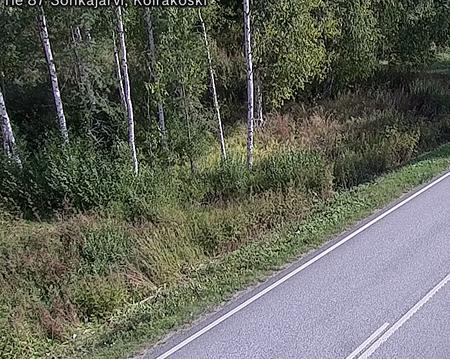 Tie 87 Sonkajärvi, Koirako