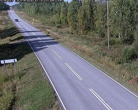 Tie 87 Sonkajärvi, Koirako