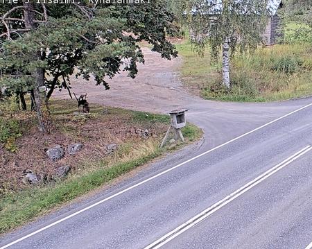 Tie 5 Iisalmi, Ryhälänmäki