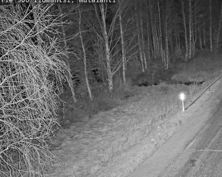 Tie 500 Ilomantsi Mutalahti