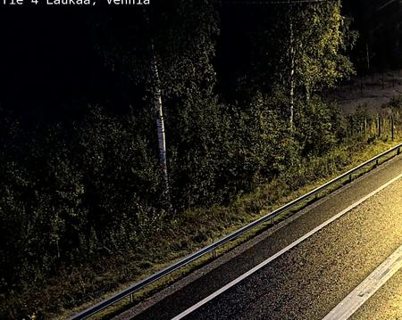 Tie 4 Laukaa, Vehniä