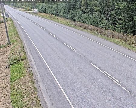 Tie 4 Äänekoski, Lintulahti
