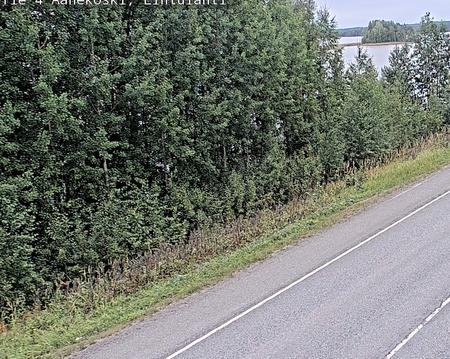 Tie 4 Äänekoski, Lintulahti