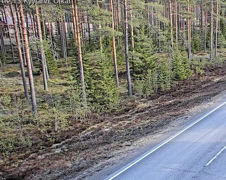 Tie 13 Kyyjärvi, Oikari