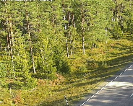 Tie 13 Kaustinen, Viiperi