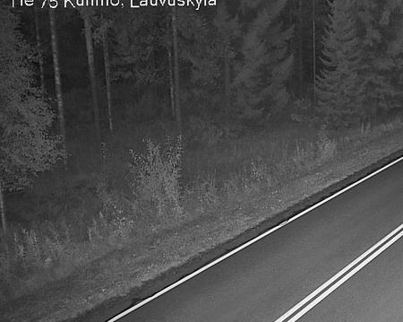Tie 75 Kuhmo, Lauvuskylä
