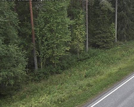Tie 8990 Sotkamo, Pohjavaara