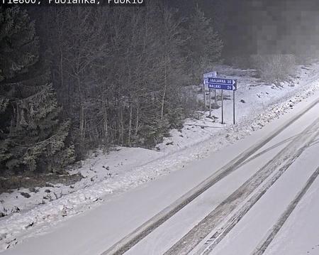 Tie 800 Puolanka, Puokio