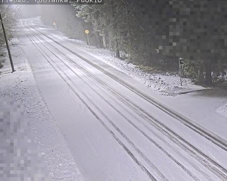 Tie 800 Puolanka, Puokio