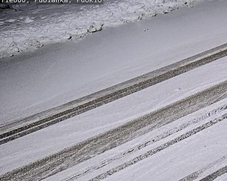 Tie 800 Puolanka, Puokio