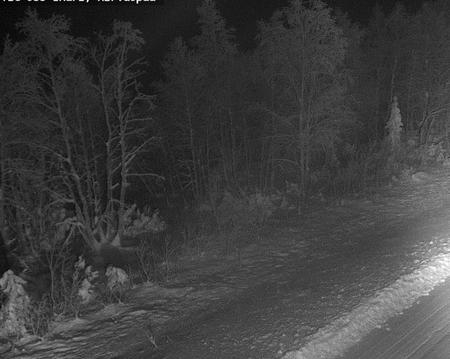 Tie 955 Inari, Hirvaspää