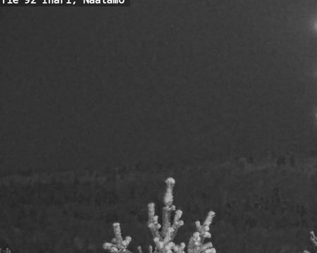 Tie 92 Inari, Näätämö