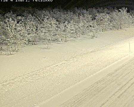 Tie 4 Inari, Petsikko