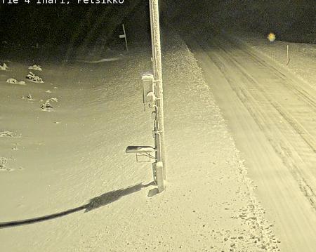 Tie 4 Inari, Petsikko