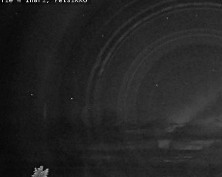 Tie 4 Inari, Petsikko