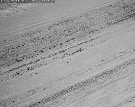 Tie 4 Inari, Petsikko