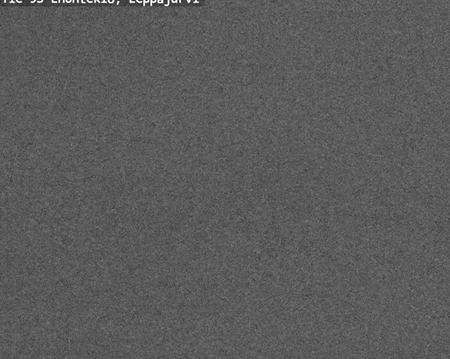 Tie 93 Enontekiö, Leppäjärvi