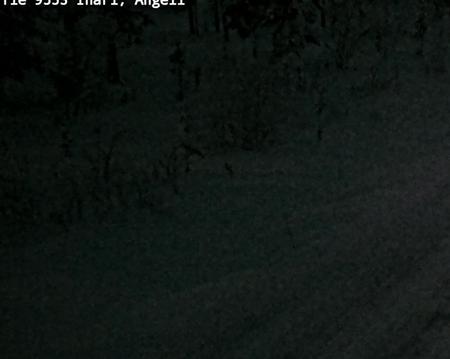 Tie 9553 Inari, Angeli, Lintupuolivaara