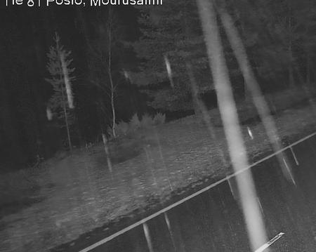 Tie 81 Posio, Mourusalmi